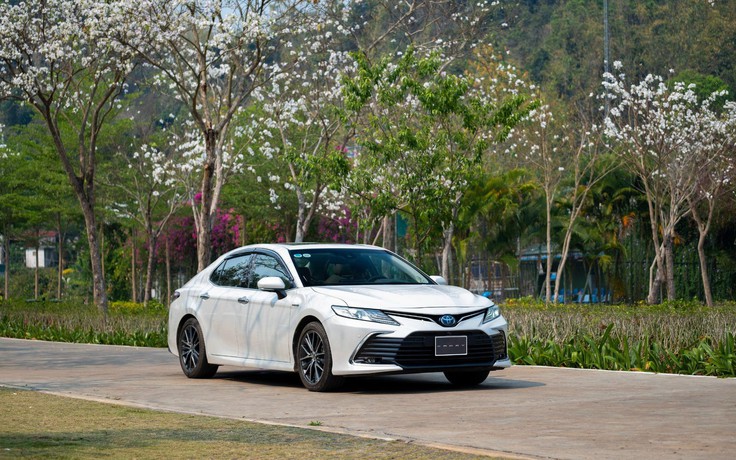 Vì sao Toyota Camry thống trị phân khúc sedan cỡ D?