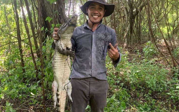 Kiên Giang: Bắt được cá sấu xổng chuồng 'trốn' trong hồ nước công viên
