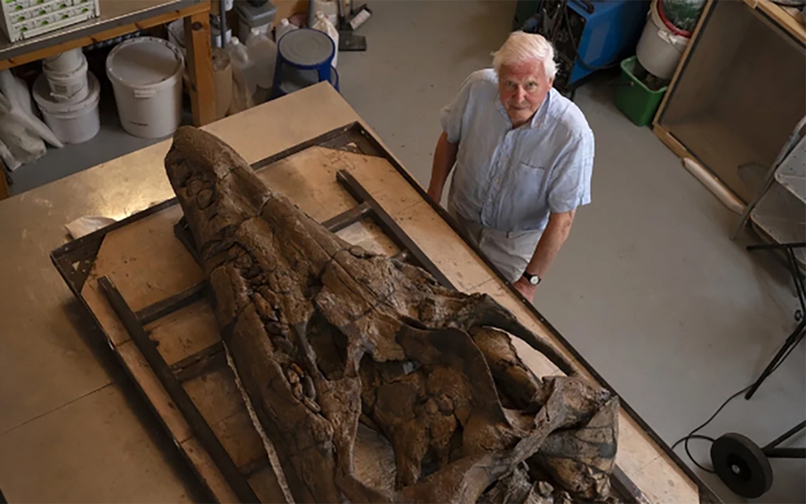 Phát hiện hộp sọ khổng lồ của quái vật biển thời tiền sử ở Anh