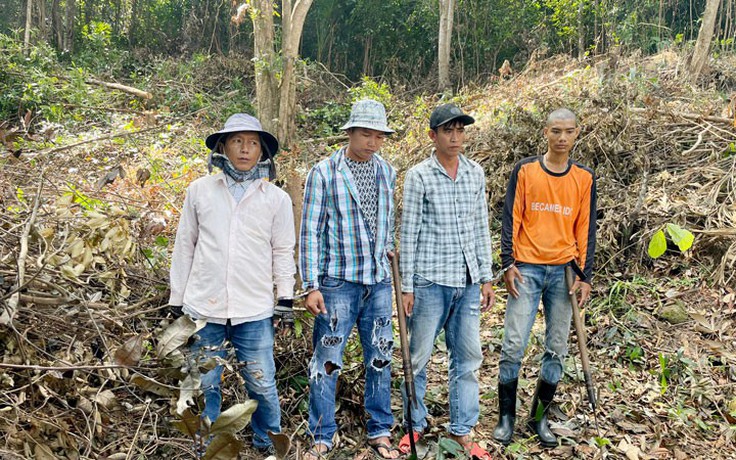 Bắt giữ 4 người chặt phá rừng ở Vườn quốc gia Phú Quốc