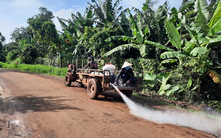 Đắk Lắk: Tiêu hủy hơn 2.500 con heo do dịch tả heo châu Phi