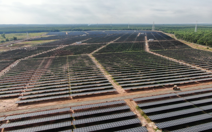 Bình Phước: Nhà máy điện mặt trời Lộc Ninh 3 xây dựng trên đất rừng sản xuất