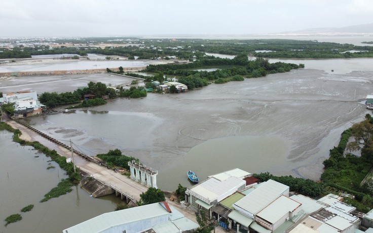 Vụ bùn nạo vét làm nghẽn sông ở Bình Định: Chốt thời hạn khắc phục