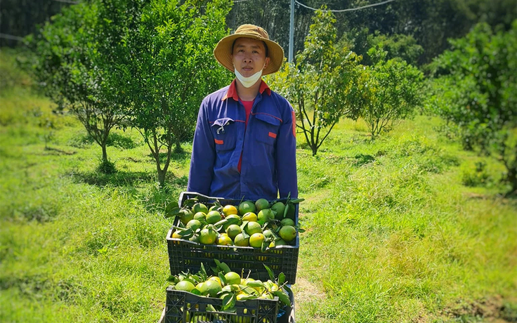 Chàng trai kiếm tiền tỉ mỗi năm nhờ làm trang trại