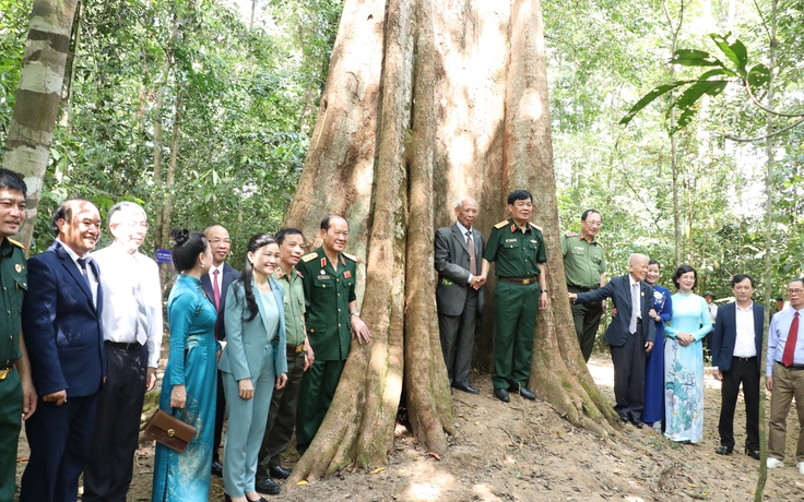 Bình Phước: Công nhận quần thể 162 cây di sản Việt Nam tại rừng Mã Đà