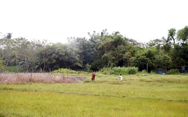 Hào khí miền Đông: Những thanh âm thương nhớ