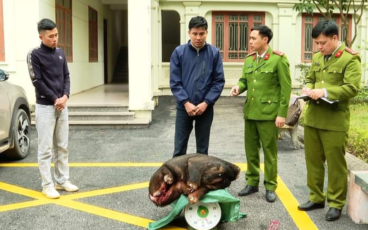 Bắt quả tang hai người vận chuyển cá thể sơn dương trái phép