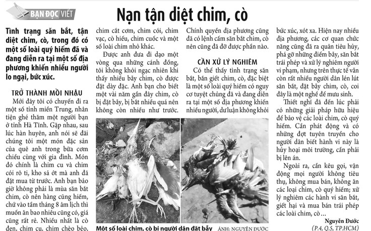 Chung tay ngăn chặn nạn tận diệt chim trời, cá nước