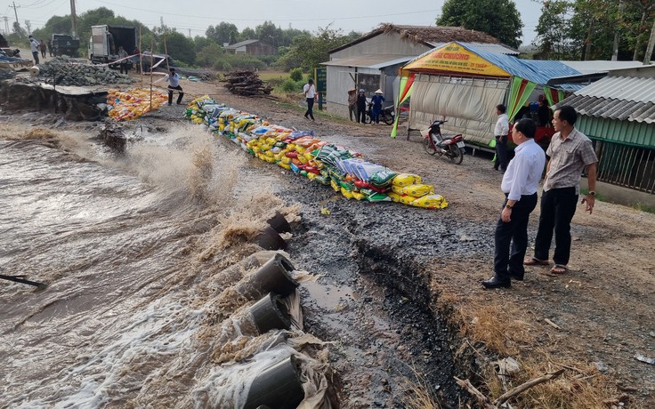 Bạc Liêu: Công bố tình huống khẩn cấp sự cố sạt lở đê biển Đông