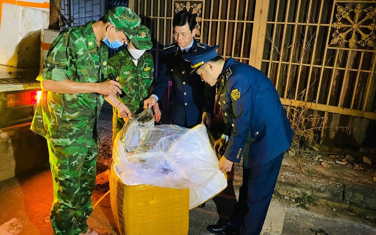 Quảng Trị: Chặn bắt xe tải chở 1,7 tấn nội tạng heo 'thối'