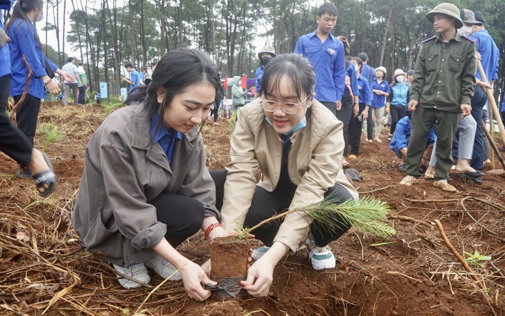 Đắk Nông: Nỗ lực chăm sóc, bảo vệ gần 107 ha rừng thông dọc Quốc lộ 28