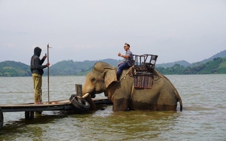 Chính thức dừng tổ chức cho du khách cưỡi voi Buôn Đôn