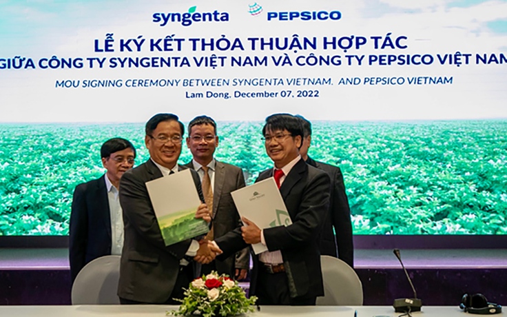 Trồng khoai tây bền vững với PepsiCo, Syngenta, nông dân thu lãi cả trăm triệu đồng