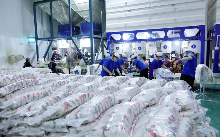 Xuất khẩu gạo sang Trung Quốc nhờ đâu tăng mạnh cả lượng và giá? Xuất khẩu gạo sang Trung Quốc nhờ đâu tăng mạnh cả lượng và giá?