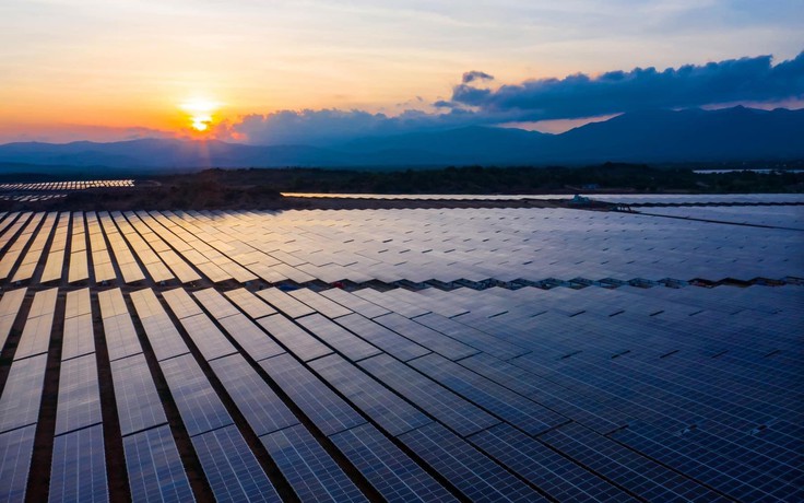 EVN nêu lý do dừng mua 172 MW điện mặt trời của Trung Nam - Thuận Nam
