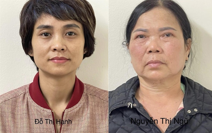 Vụ ‘thổi giá’ cây xanh ở Hà Nội: Khởi tố thêm 2 bị can