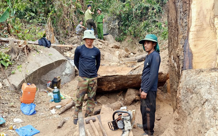 Kon Tum: Bắt quả tang 2 người đang phá rừng