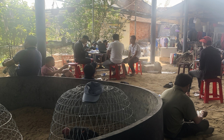 Quảng Ngãi: Bắt quả tang hơn 20 người đánh bạc dưới hình thức đá gà Quảng Ngãi: Bắt quả tang hơn 20 người đánh bạc dưới hình thức đá gà