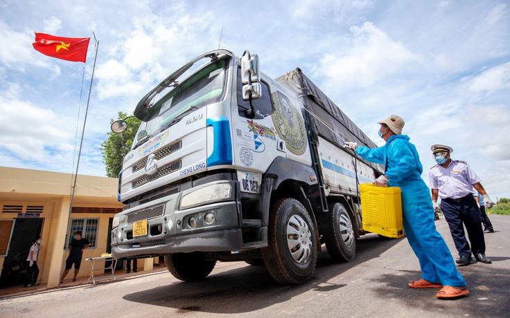 Tây Ninh: Giám sát buôn bán, vận chuyển, giết mổ trái phép ngừa dịch bệnh cúm A/H5N1