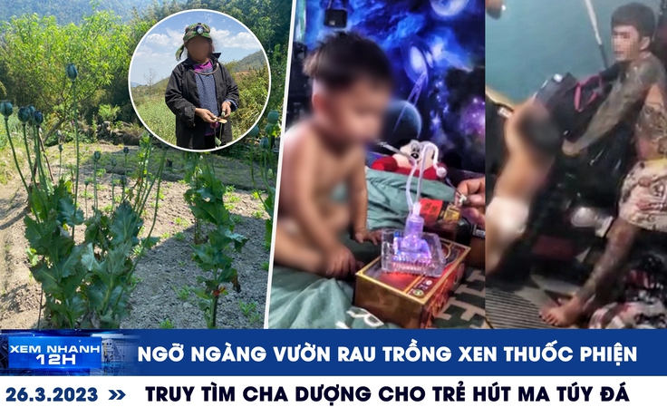 Xem nhanh 12h: Truy tìm cha dượng nghi cho trẻ hút ma túy | Ngỡ ngàng vườn rau xen canh... thuốc phiện