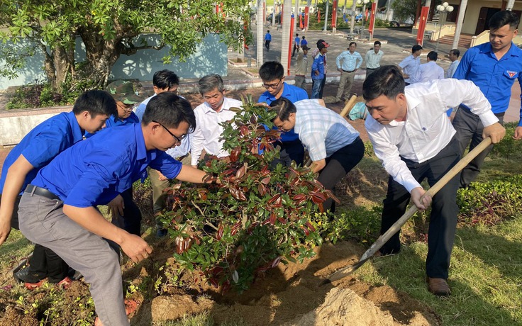 Trồng trăm cây mai vàng tại khu di tích