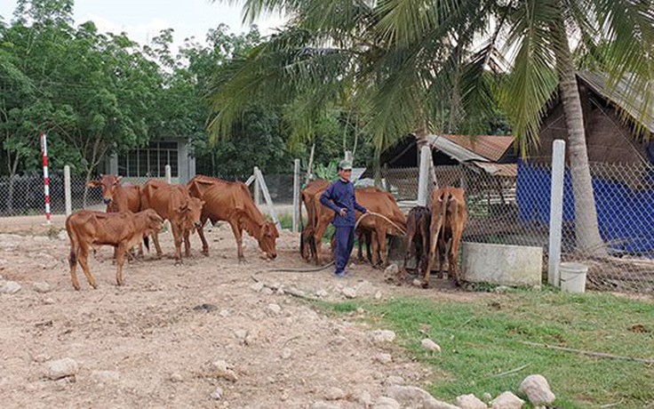 Huy động tiền gửi tiết kiệm, trao 'cần câu' cho hộ nghèo Huy động tiền gửi tiết kiệm, trao 'cần câu' cho hộ nghèo