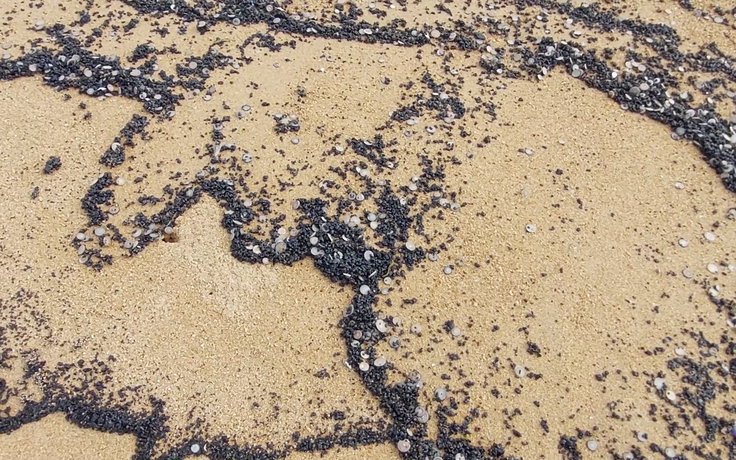 Xuất hiện vết dầu loang bất thường trên bãi biển Phú Yên