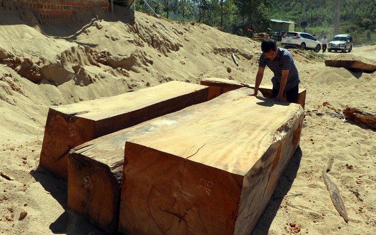 Kon Tum: Công an đột kích bãi tập kết gỗ lậu 'khủng' trong mỏ khai thác cát