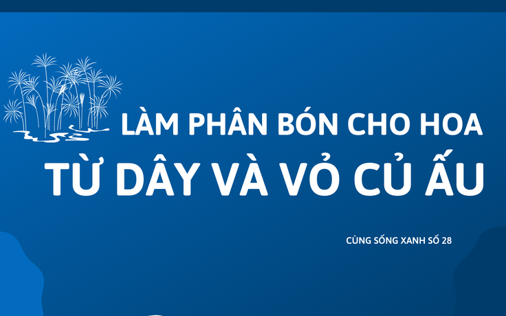 Cùng sống xanh số 28: Chàng cử nhân sinh học biến phế phụ phẩm của dây ấu thành phân không mùi cho hoa kiểng