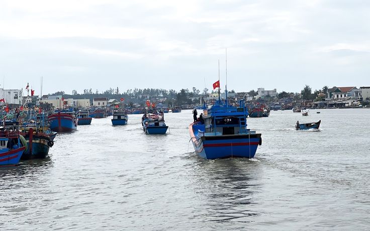 Quảng Ngãi xóa tên 244 tàu cá trong sổ đăng ký quốc gia
