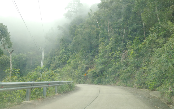 'Vương quốc' khỉ ở Ba Tơ