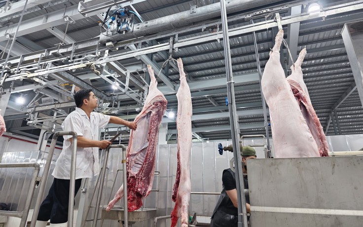 Vì sao tiêu thụ thịt heo của TP.HCM giảm 2.646 con?