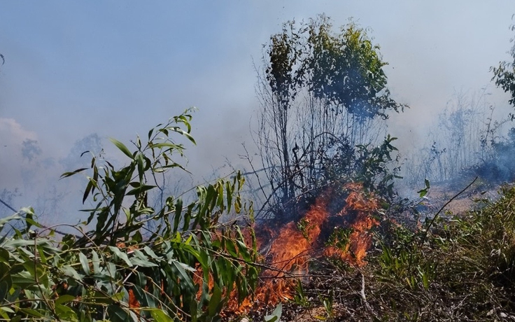 Bình Định: Dập tắt đám cháy rừng trên núi Kỳ Sơn
