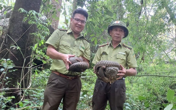 Kiểm lâm TP.HCM thả 28 cá thể động vật hoang dã về rừng Ninh Thuận