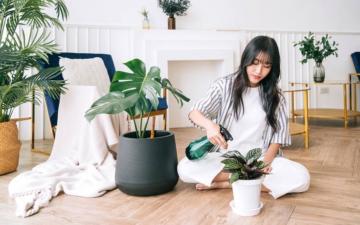 'Chút Yên từ Thiên Nhiên' tưởng chừng sẽ lạ mà quen 'Chút Yên từ Thiên Nhiên' tưởng chừng sẽ lạ mà quen