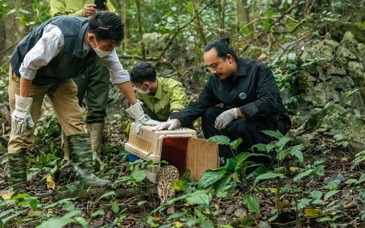 Đạo diễn Cao Trung Hiếu: ‘Bây giờ, tôi đối diện rừng…’