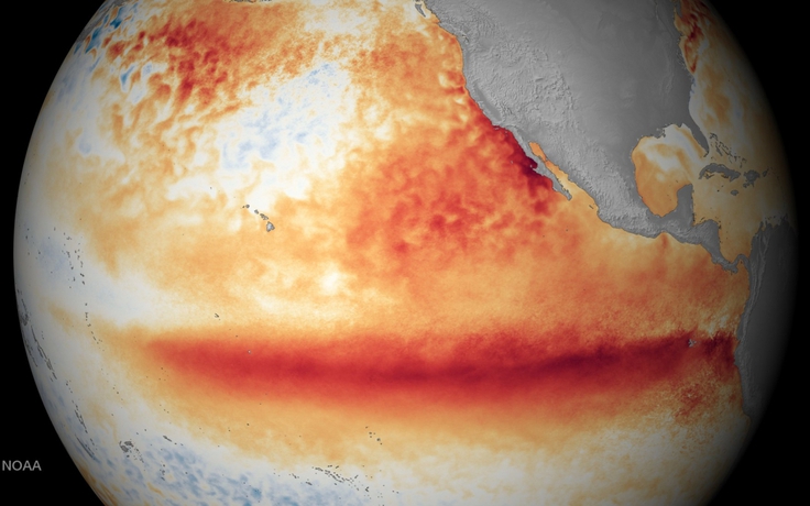 El Nino đã xuất hiện
