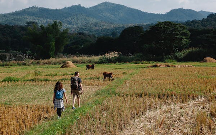 Dẫn bố đi chơi