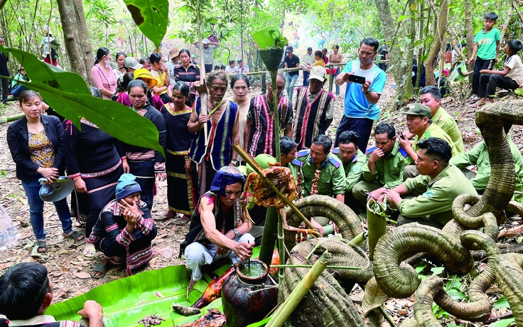 Huyện Ia Grai bảo vệ rừng gắn với văn hóa tín ngưỡng