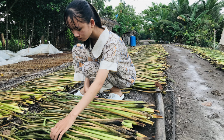 Nữ sinh có gia cảnh nghèo khó khát khao vào đại học