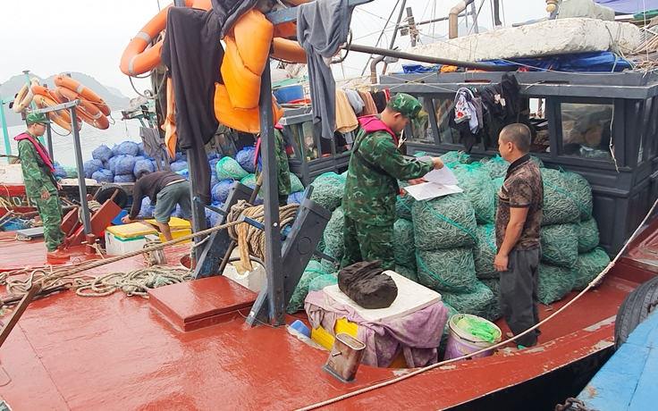 Biên phòng Quảng Ninh bắt giữ các 'hung thần đại dương'