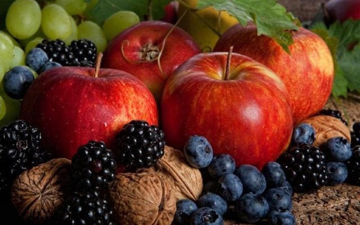 Trà, táo, quả mọng có tác dụng giảm nguy cơ mất trí nhớ do tuổi tác