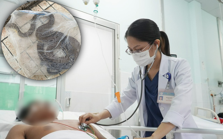 Truyền 10 lọ thuốc giải độc cứu người đàn ông bị rắn cắn Truyền 10 lọ thuốc giải độc cứu người đàn ông bị rắn cắn