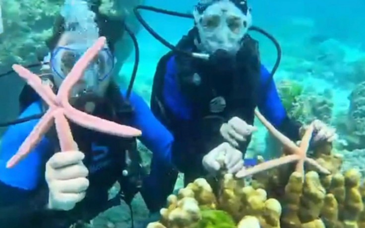 Giẫm đạp san hô, nhóm du khách Trung Quốc đối mặt tù tội ở Thái Lan