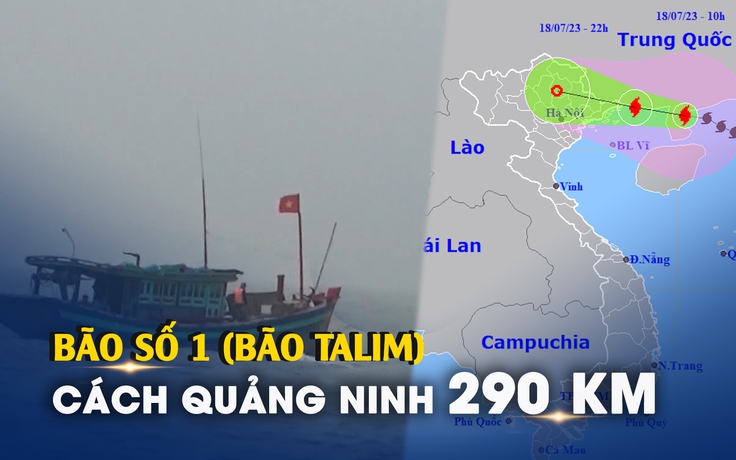 KHẨN CẤP: Bão số 1 (bão Talim) chỉ còn cách Móng Cái 290 km