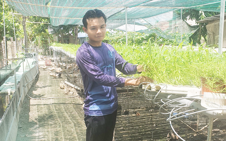 Chàng trai trồng rau thủy canh kết hợp nuôi cá trên bể bạt