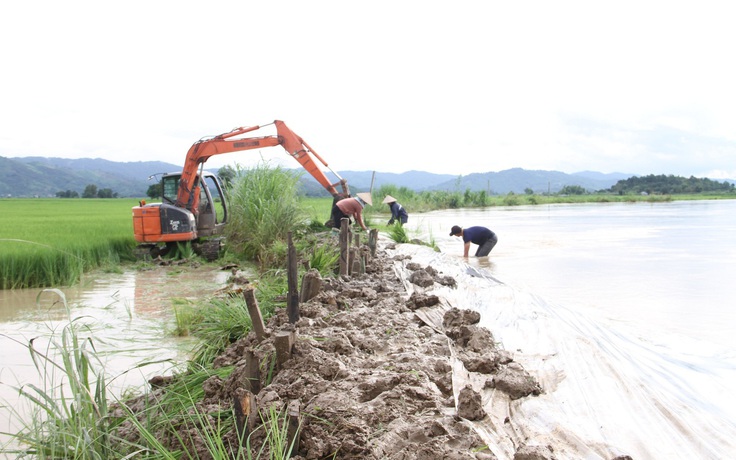 Nước lũ nhấn chìm hàng trăm ha lúa, dân dầm mình trong nước hộ đê