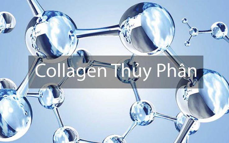 Collagen thủy phân là gì?