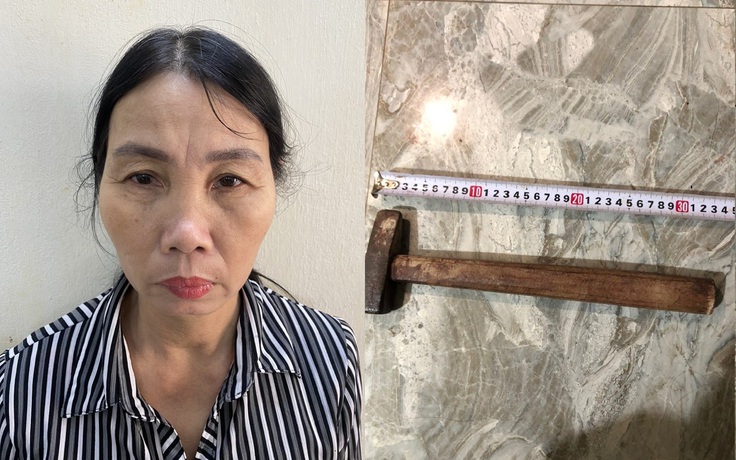 Con dâu dùng búa và dao bầu sát hại bố chồng