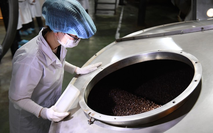 Giá cà phê Việt Nam tăng kỷ lục